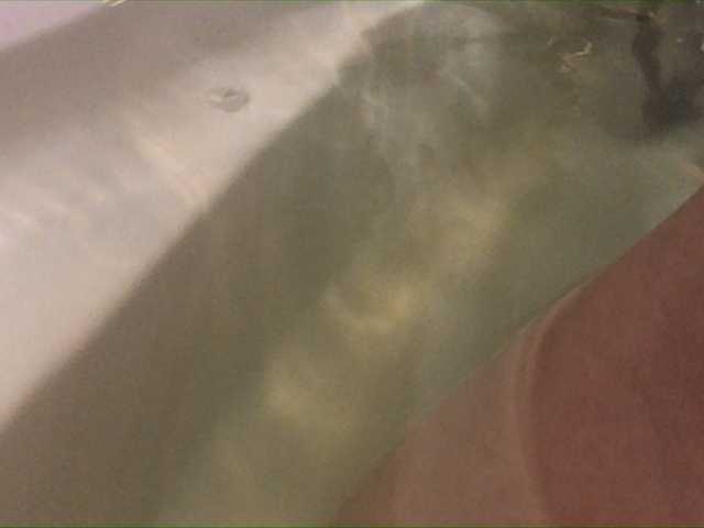 Zrzuty ekranu transmisji Alianakiss