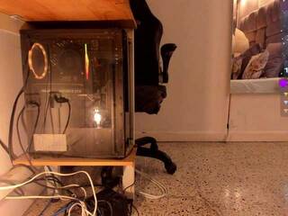 Erotyczny czat wideo amina-west