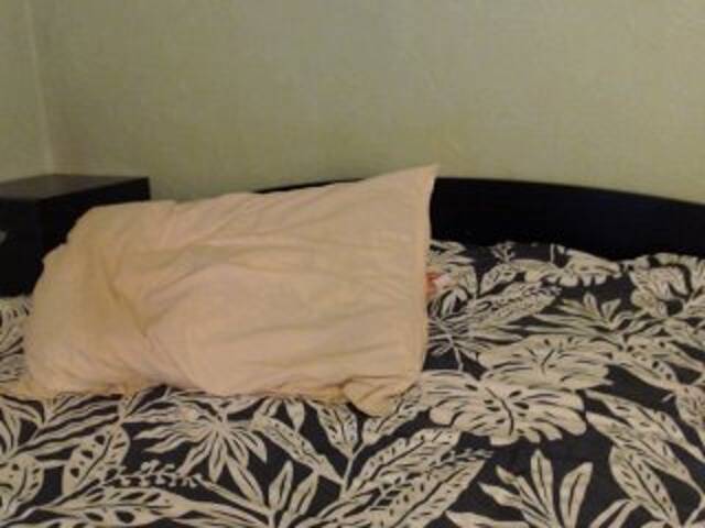 Zrzuty ekranu transmisji Alissia_Kiss