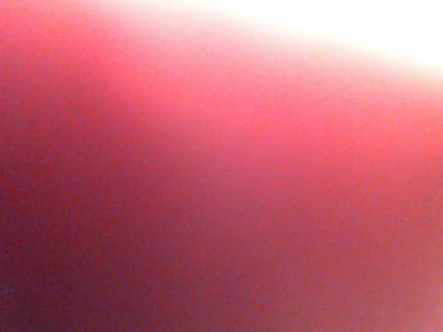 Zrzuty ekranu transmisji anawild4you