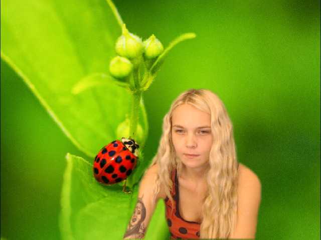 Zdjęcia AnnaHappy18 ...the story of the lonely ladybug.