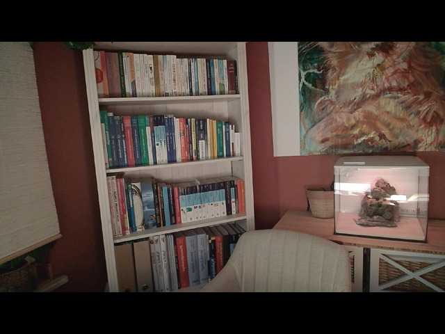 Zrzuty ekranu transmisji AntoniaPur