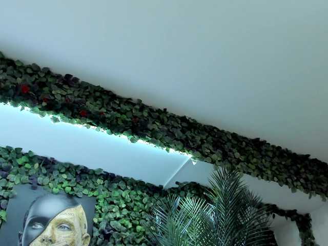 Zrzuty ekranu transmisji Anyssia