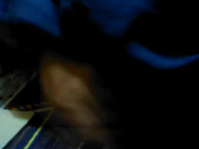 Zrzuty ekranu transmisji BarbieBigTits