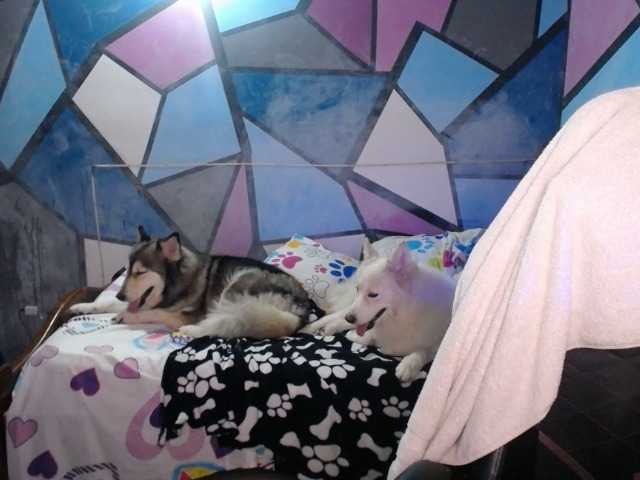 Zrzuty ekranu transmisji beautifulchubbyqueen
