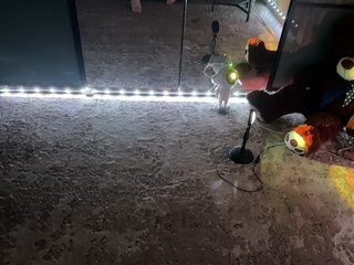 Erotyczny czat wideo -KOCMOC-13