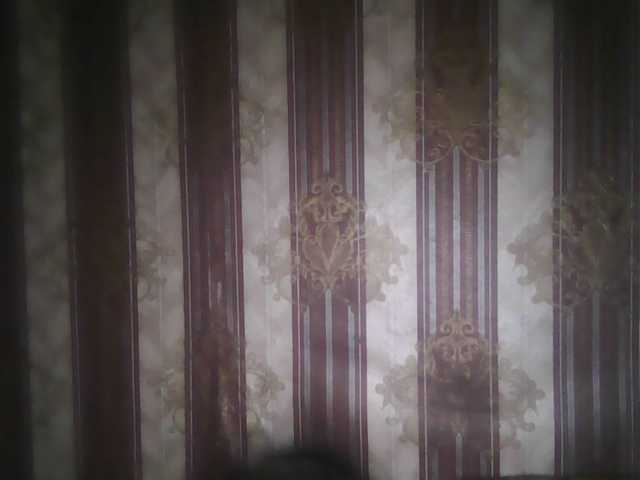 Zrzuty ekranu transmisji -jasmine-