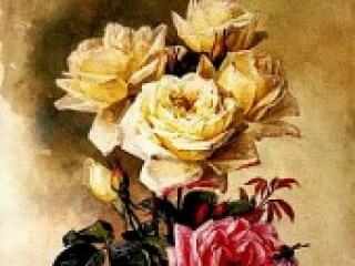 Erotyczny czat wideo cowtitts