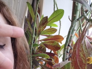Erotyczny czat wideo Crazycouple8