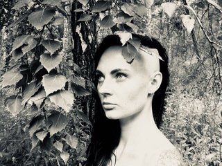 Zdjęcie profilowe DarkParadice-