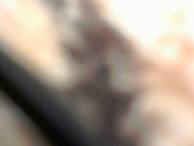 Zrzuty ekranu transmisji DIMIYRIA