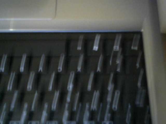 Zrzuty ekranu transmisji dirtybellaa