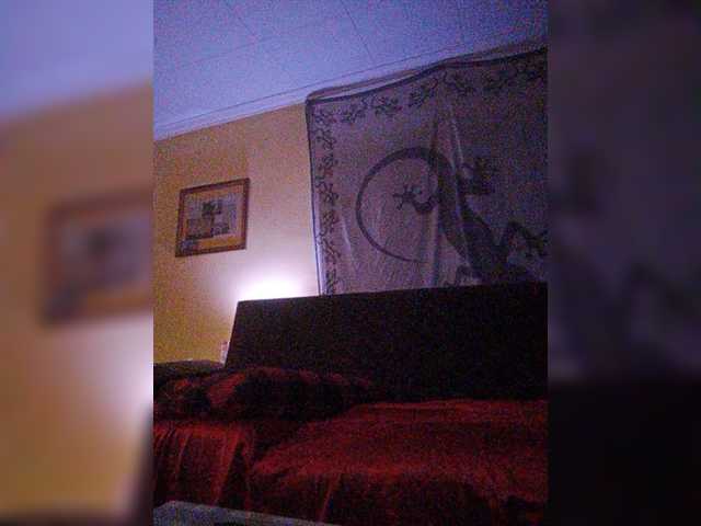 Zrzuty ekranu transmisji Doggysx