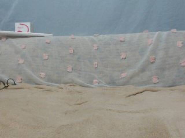 Zrzuty ekranu transmisji DonnaWildJoyy