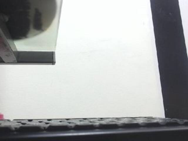 Zrzuty ekranu transmisji Dulceik