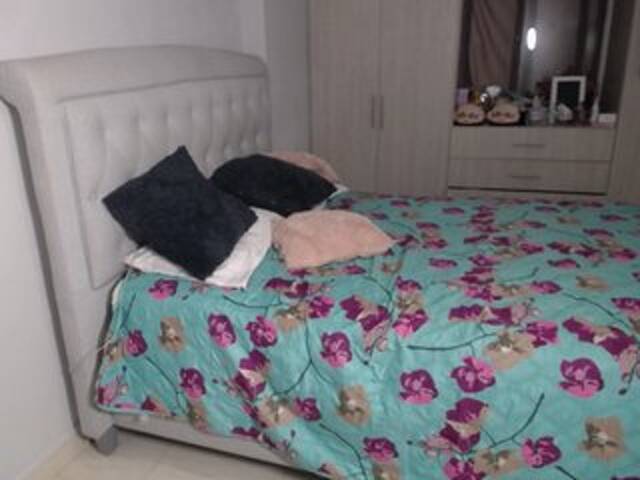 Zrzuty ekranu transmisji eimycox