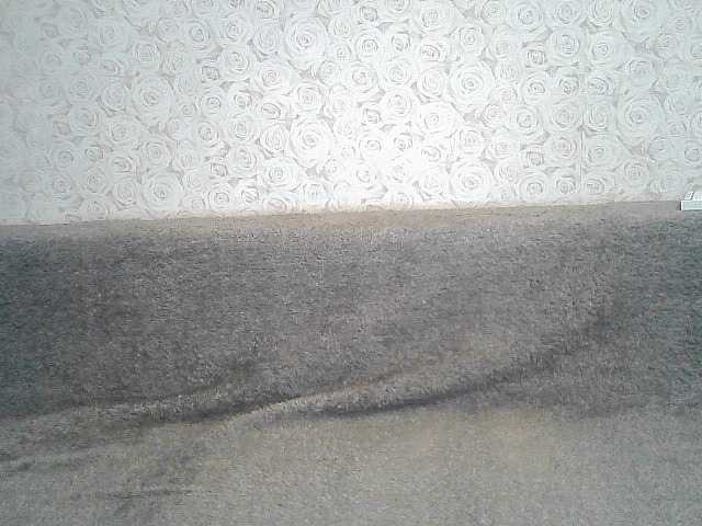 Zrzuty ekranu transmisji ElegantBlonda