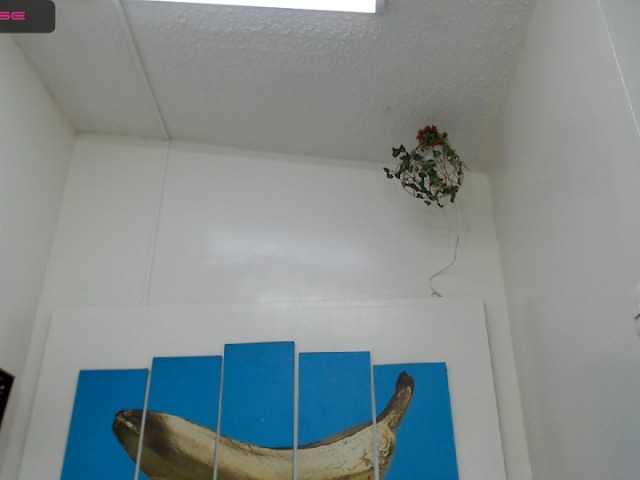 Zrzuty ekranu transmisji evaklumm