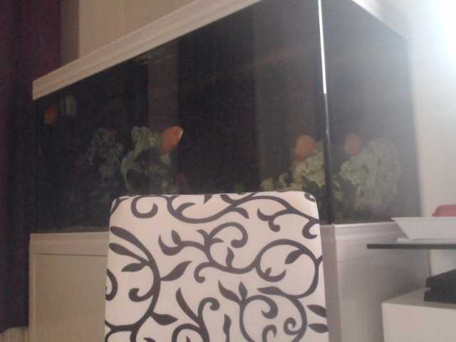 Zrzuty ekranu transmisji Farahslut