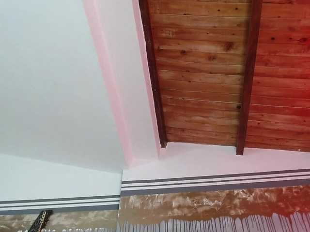 Zrzuty ekranu transmisji flexylive