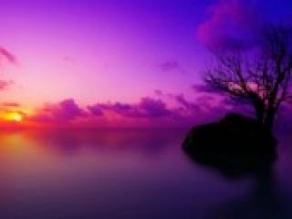 Erotyczny czat wideo florabella