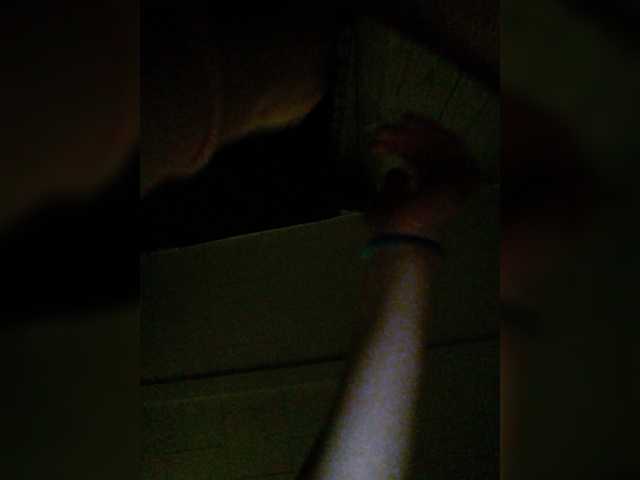 Zrzuty ekranu transmisji her-highness