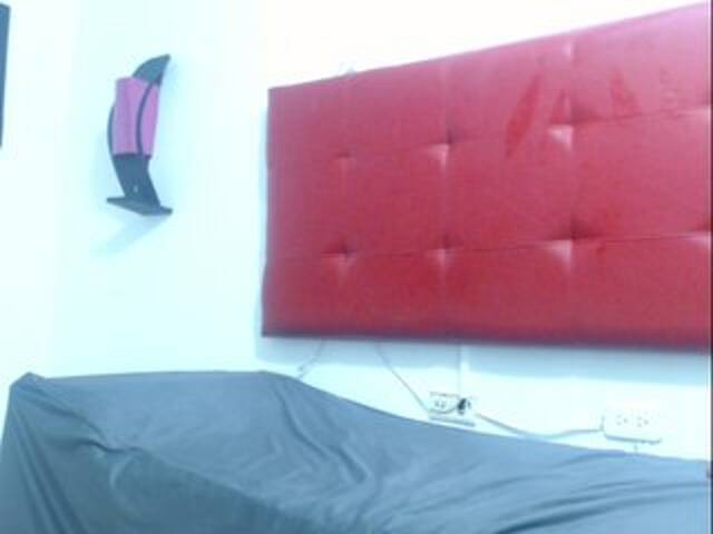 Zrzuty ekranu transmisji karinalopes