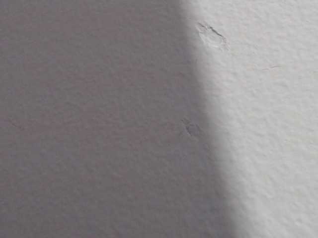 Zrzuty ekranu transmisji Katithompson