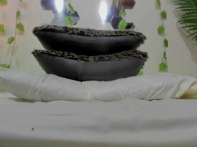 Zrzuty ekranu transmisji Kitty-small