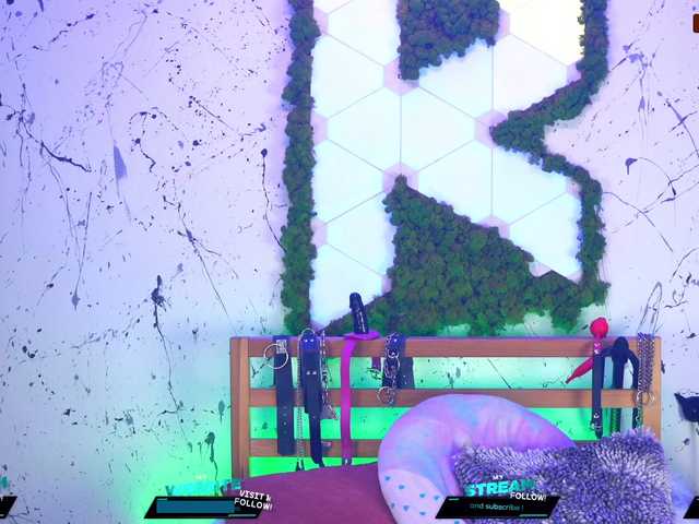 Zrzuty ekranu transmisji Kittygy
