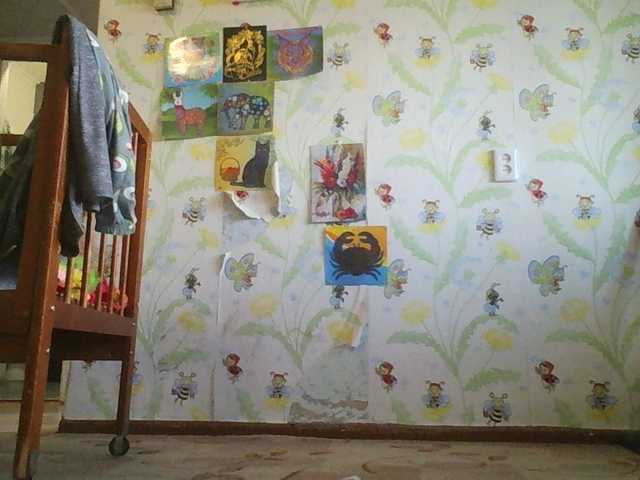 Zrzuty ekranu transmisji krasotyla