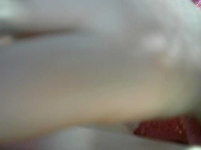 Zrzuty ekranu transmisji t_w_i_n_k_l_e