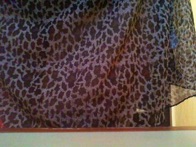 Zrzuty ekranu transmisji Alena209