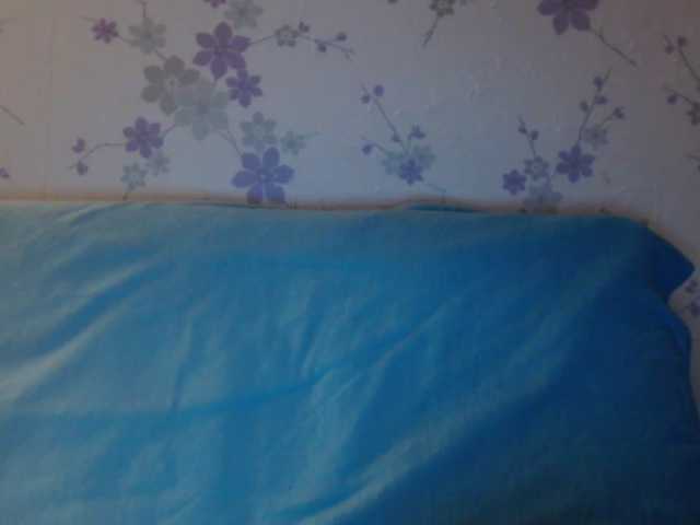 Zrzuty ekranu transmisji littledevi