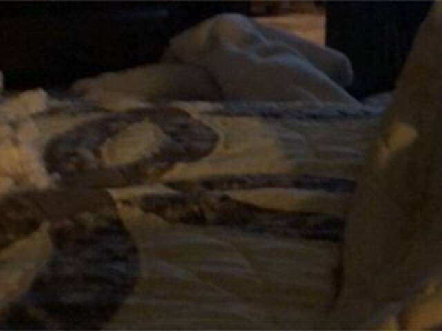 Zrzuty ekranu transmisji Littleshorty