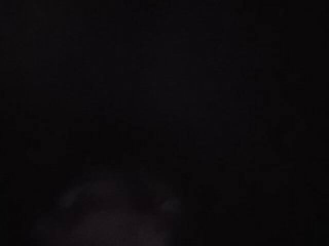 Zrzuty ekranu transmisji Littleshorty