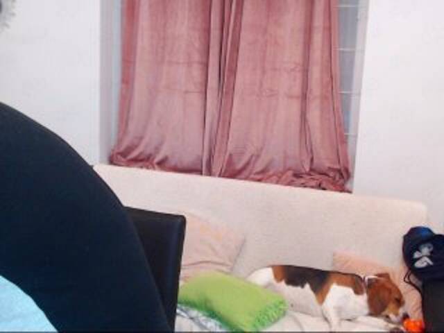 Zrzuty ekranu transmisji MaxGACouple