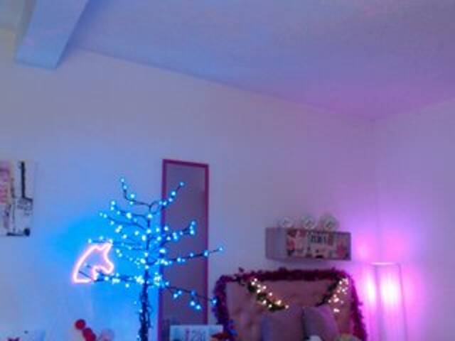 Zrzuty ekranu transmisji Miss-Bonnie