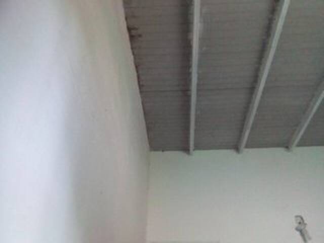 Zrzuty ekranu transmisji misscute