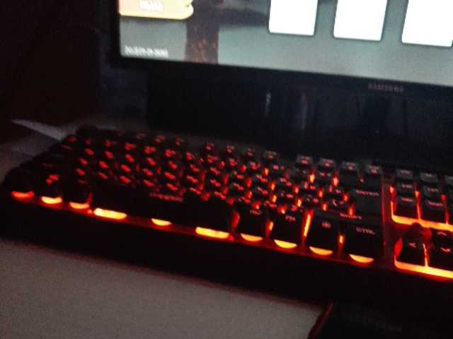 Zrzuty ekranu transmisji Olga2407