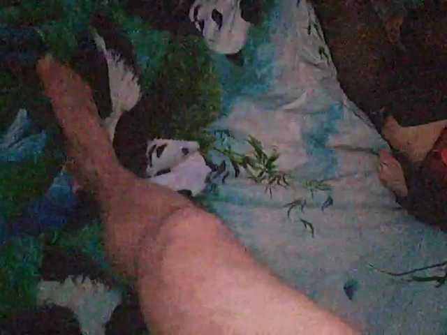 Zrzuty ekranu transmisji sedaybelka