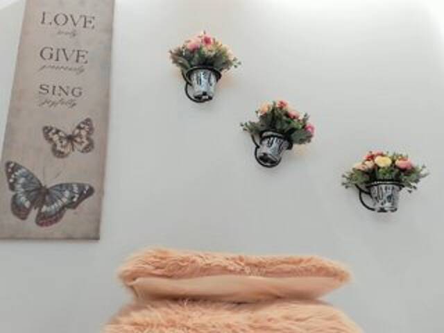 Zrzuty ekranu transmisji small-bella