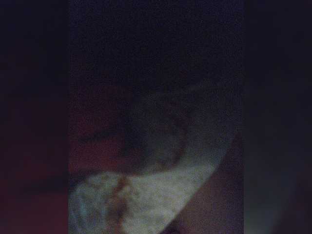 Zrzuty ekranu transmisji small-cat