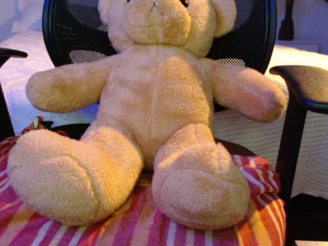 Zrzuty ekranu transmisji SofiaZapata