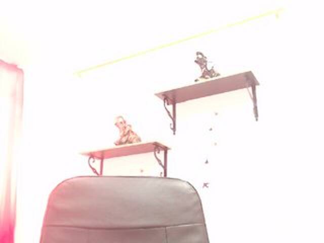 Zrzuty ekranu transmisji Sofixtrem