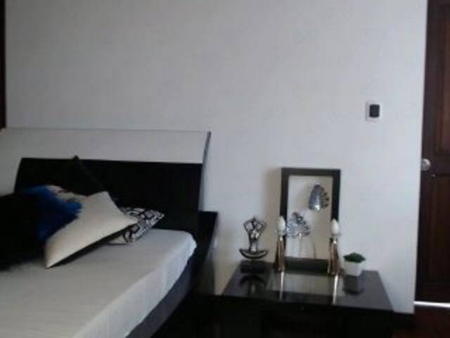 Zrzuty ekranu transmisji StaceyWood