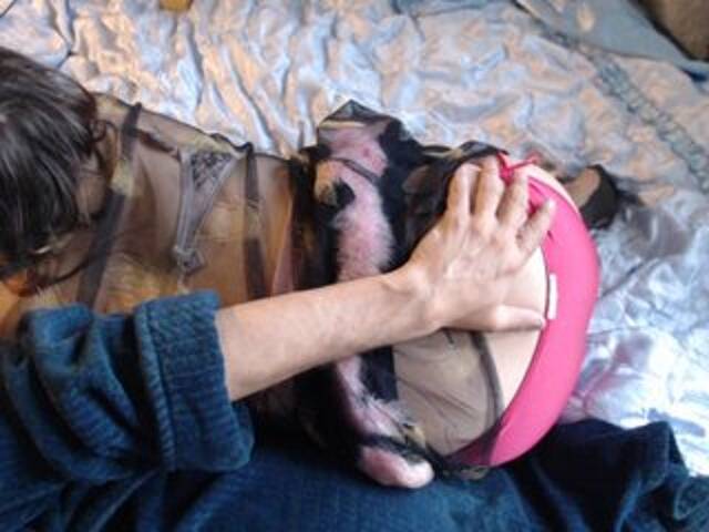 Zrzuty ekranu transmisji Masha_Ivanova