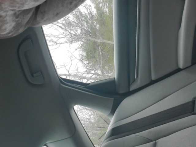 Zrzuty ekranu transmisji Sugarisme