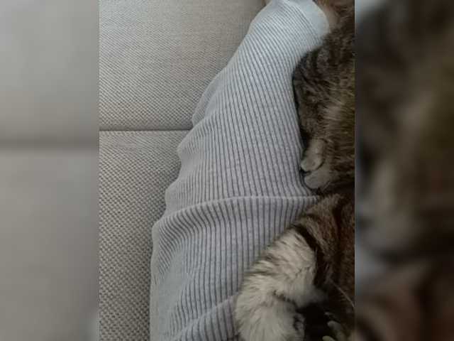 Zrzuty ekranu transmisji GolayaPravda