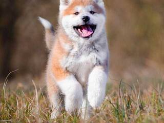 Erotyczny czat wideo Val309a